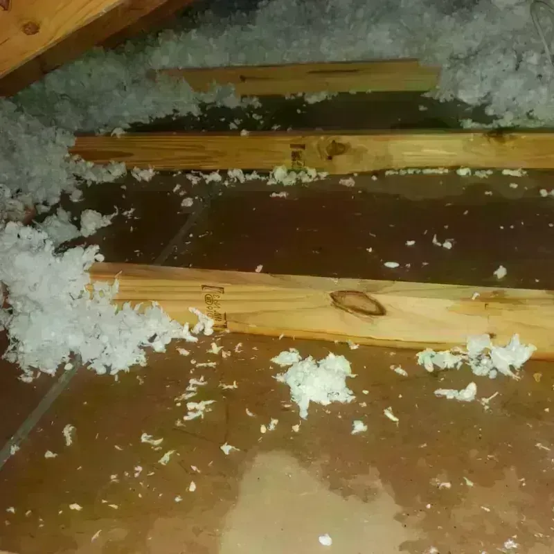 Attic Water Damage in Salina, OK