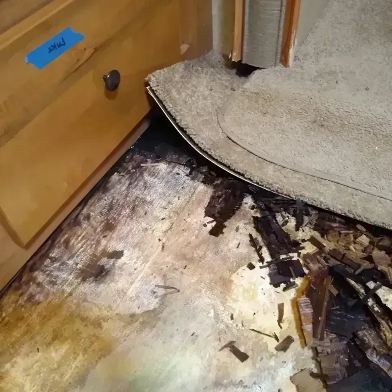 Wood Floor Water Damage in Salina, OK